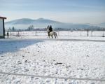 Horseriding  | Property Care Veliko Tarnovo - property management, renovation and repair, maintenance