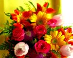 8th March- Women’s Day | Property Care Veliko Tarnovo - property management, renovation and repair, maintenance
